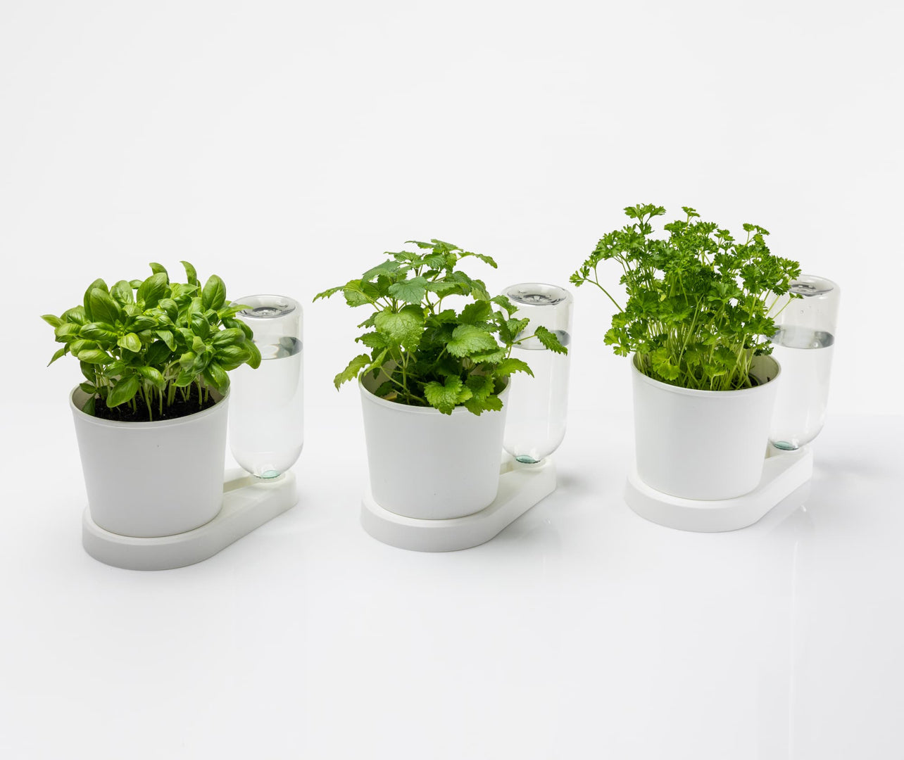 Kräuterheld Bewässerungssystem Anthrazit