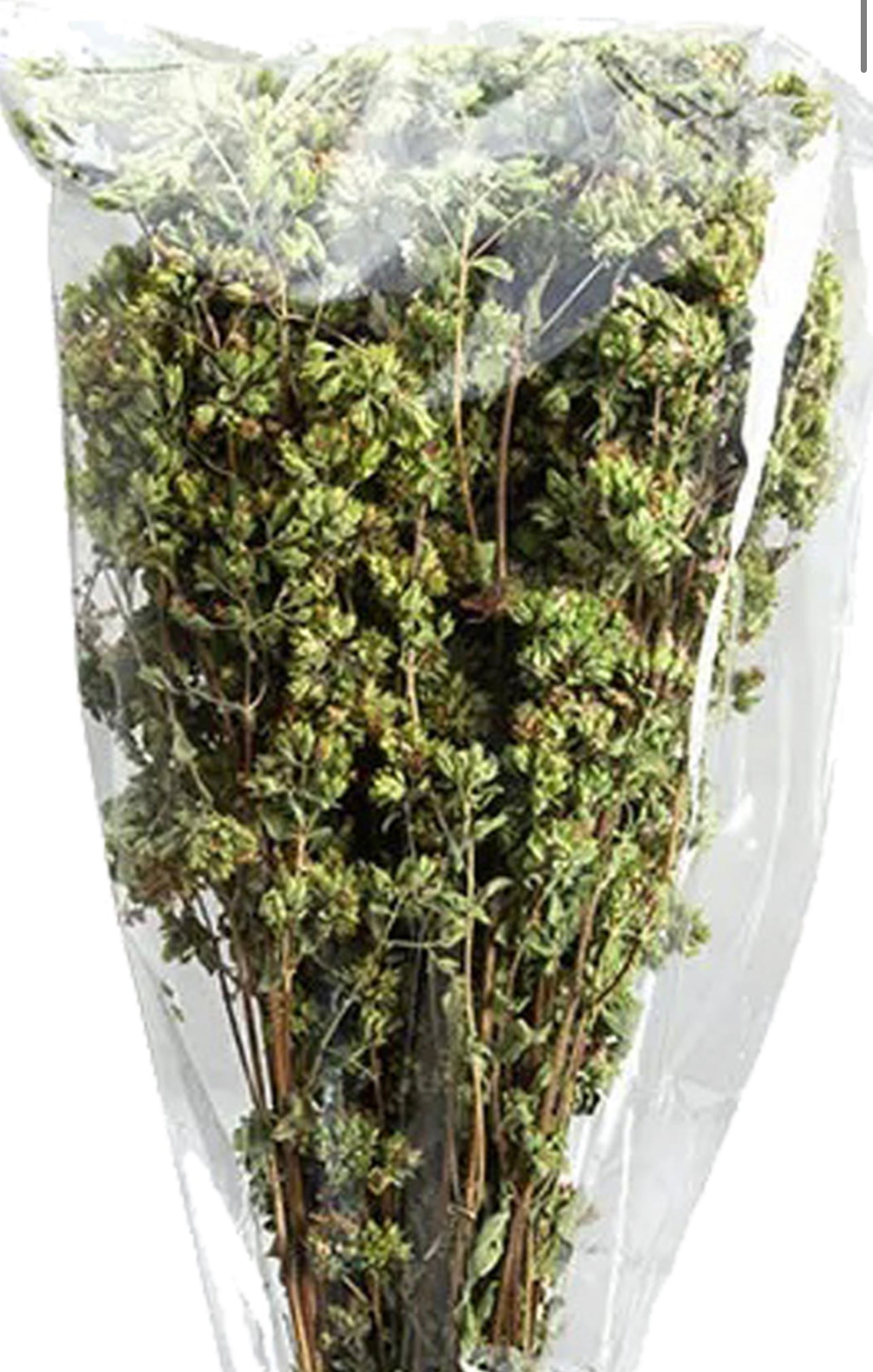 Mazzetto Oregano